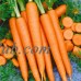 Tendersweet Carrot Seeds - 5 Gram Packet - Non-GMO, Heirloom Vegetable Garden Seeds - Gardening by Mountain Valley Seeds   566833565